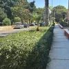 ghelas_multiservizi_03