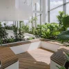 intelligenza_naturale_04